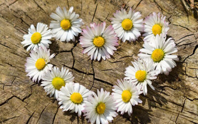 Be Happy by Giving More