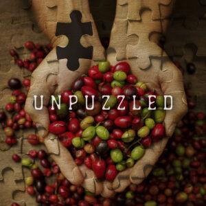 Book cover for Unpuzzled by Suzie Carr